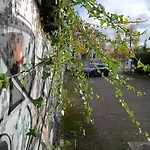 酒店 Ratsschaenke Suedheide 吉夫霍恩