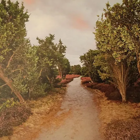 Ratsschaenke Suedheide Hotel Gifhorn