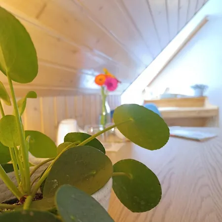 Kleines Stadthotel Ratsschaenke Suedheide 3* Gifhorn
